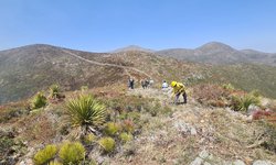 Vientos reactivan el incendio en Villa de Guadalupe