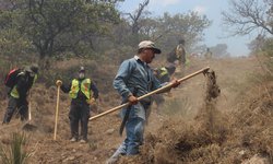 SLP preparado para temporada de incendios forestales