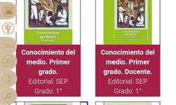 Libros de texto, fundamentales en el periodo de distanciamiento social: SEGE