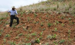 En riesgo la estabilidad social por falta de apoyo al campo