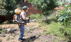 Pide Salud mantener medidas contra el dengue de forma permanente