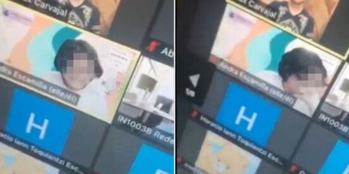 Estudiante llora porque no le dicen "compañere" durante clase virtual