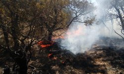 Sofocan incendios en Soledad y Cerro de San Pedro