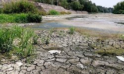 Pese a sequía, no se contempla declaratoria de emergencia en SLP