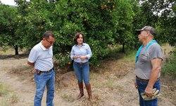 Diputada trabaja en integración de nuevas leyes de sanidad vegetal e inocuidad agrícola